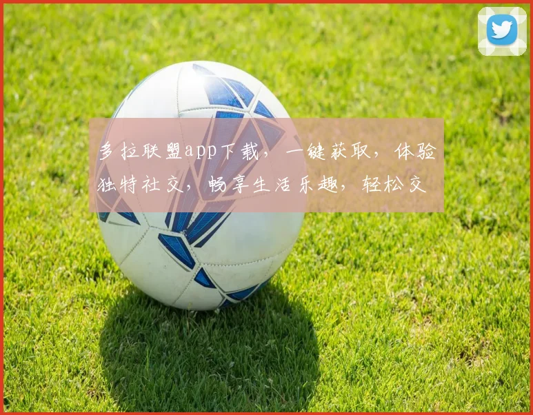 多拉联盟app下载，一键获取，体验独特社交，畅享生活乐趣，轻松交友，三步搞定