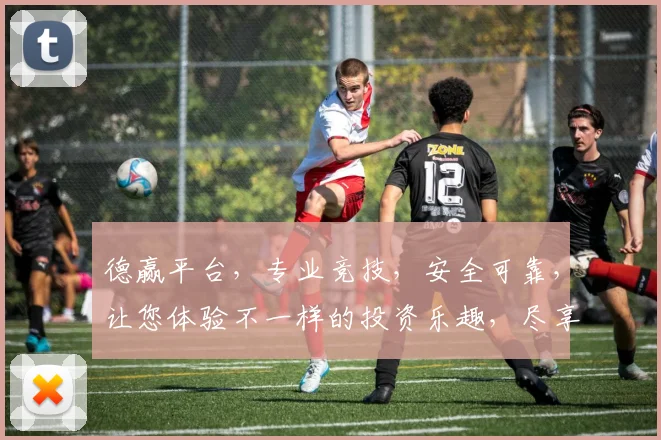 德赢平台，专业竞技，安全可靠，让您体验不一样的投资乐趣，尽享财富增值