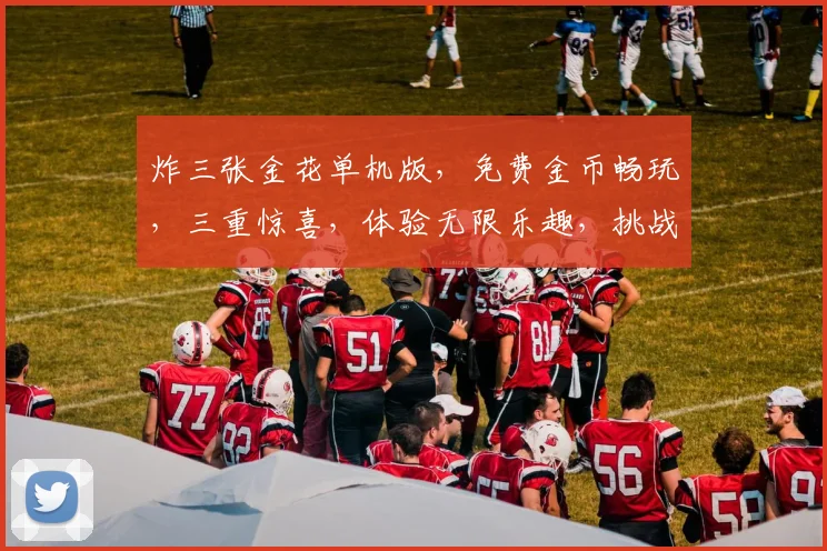 炸三张金花单机版，免费金币畅玩，三重惊喜，体验无限乐趣，挑战指尖巅峰
